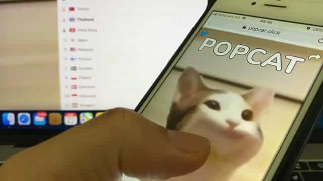 pop cat hack hp